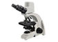 UB103id UOP Mikroskop Optik Digital / Mikroskop Digital Pembesaran Tinggi pemasok