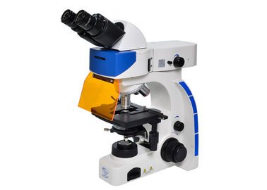Cina UOP Mikroskop Fluoresensi Tegak, Mikroskopi Fluoresensi Resolusi Tinggi pemasok