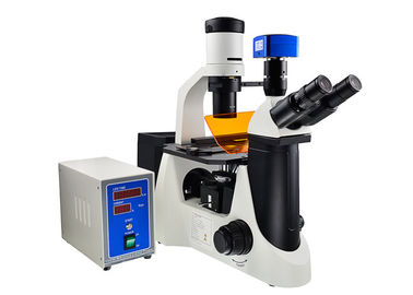 Cina V / UV Filter Mikroskop Tegak Dan Inverted Microscope Attachable Mechanical Stage pemasok