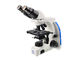 Binocular Advanced Compound Optical Microscope untuk Laboratorium Biologi pemasok