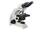 Multi Fungsi Binocular Biological Microscope 4X - 100X Dengan Tujuan Rencana pemasok