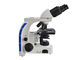 100X Laboratorium Mikroskop Biologis Mikroskop Cahaya Binokular Dengan 3W Lampu LED pemasok