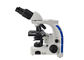 100X Laboratorium Mikroskop Biologis Mikroskop Cahaya Binokular Dengan 3W Lampu LED pemasok