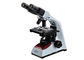 Sistem Optik Finity Mikroskop Binokuler Elektronik Dengan Lampu Halogen pemasok
