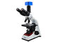 WF10X / 18mm Laboratorium Mikroskop Biologis Mikroskop Tinocular Dengan Lampu LED pemasok