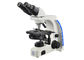 Profesional Mikroskop Binokuler Uop Pembesaran Tertinggi pemasok