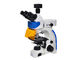 Mikroskop Fluoresensi Tegak Trinocular LED dengan Filter Fluoresensi B &amp;amp; G pemasok