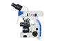 UOP Mikroskop Fluoresensi Tegak, Mikroskopi Fluoresensi Resolusi Tinggi pemasok