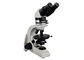 Trinocular Metallurgical Microscope 4X 10X 40X 60X Untuk Pelatihan Asbestos pemasok