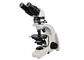 Pendidikan Mikroskop Cahaya Teropong Teropong UP102i UOP Mikroskop pemasok