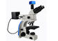 Ditransmisikan Cahaya Fluoresensi Mikroskop UMT203i Untuk Laboratorium Forensik pemasok